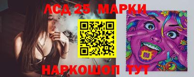 прущие грибы Ирбит