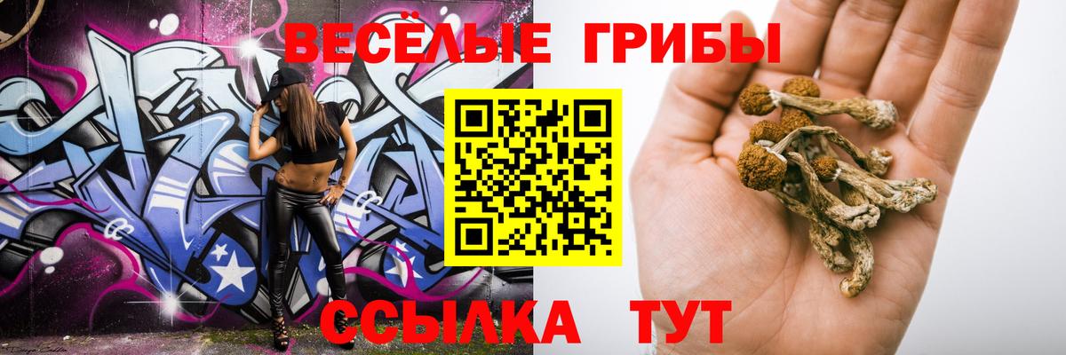 Кулебаки  Галлюциногенные грибы мухоморы  Вход с VPN 