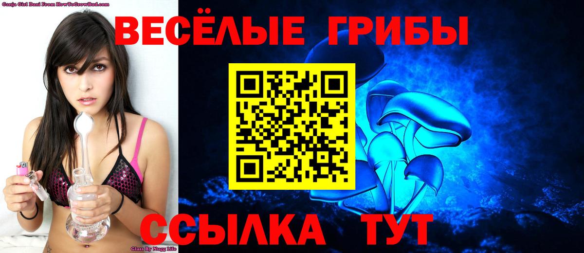 Галлюциногенные грибы MAGIC MUSHROOMS Кулебаки